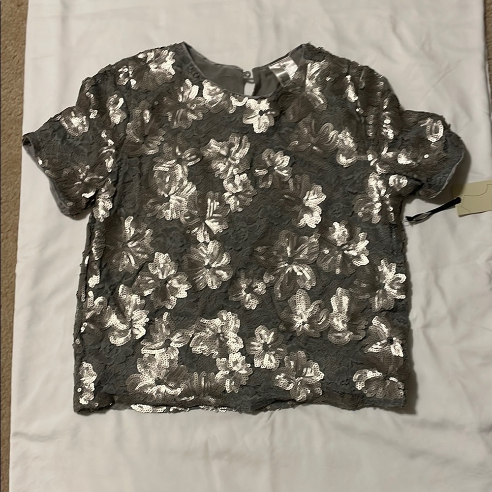 Gray Sequin Boxy Blouse
